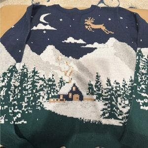 Winter Wonderland Sweater - Navy and Green